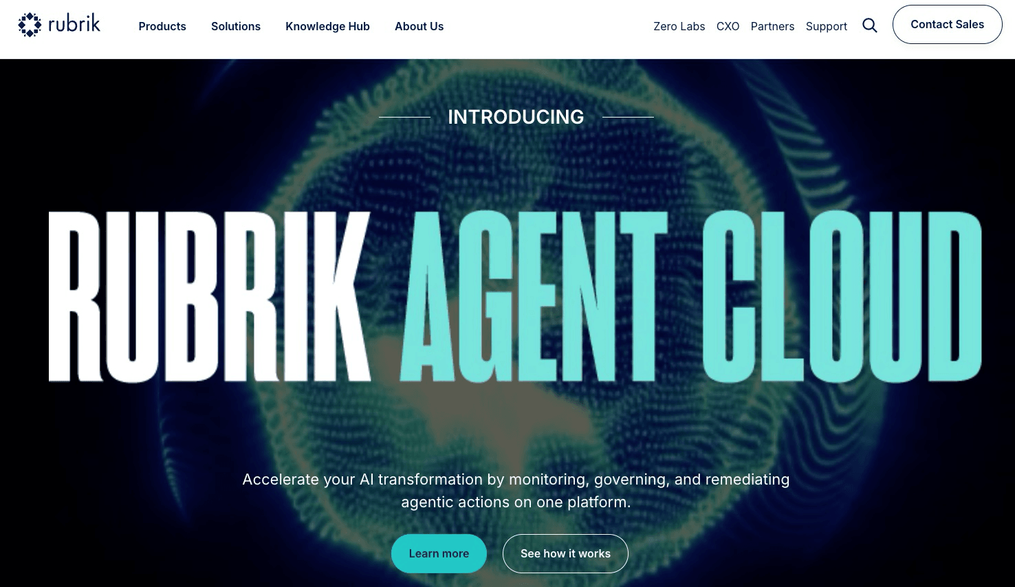 Rubrik Website Screenshot