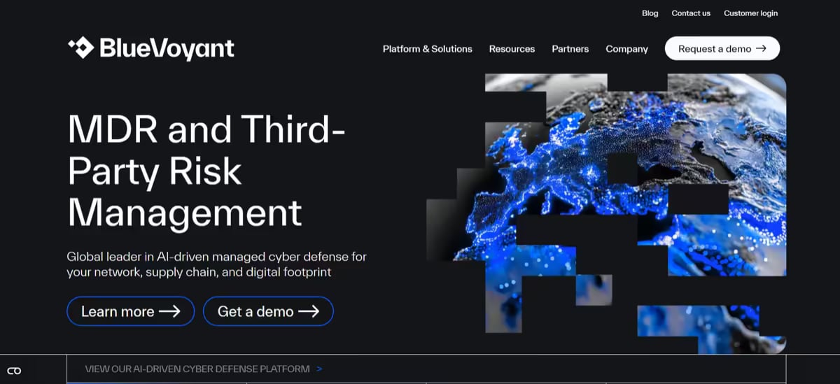 BlueVoyant Website Screenshot