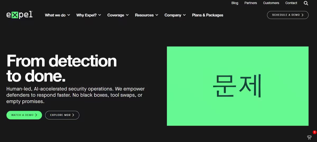 Expel Website Screenshot